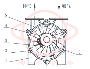 水環(huán)式真空泵及壓縮機(jī)工作原理圖